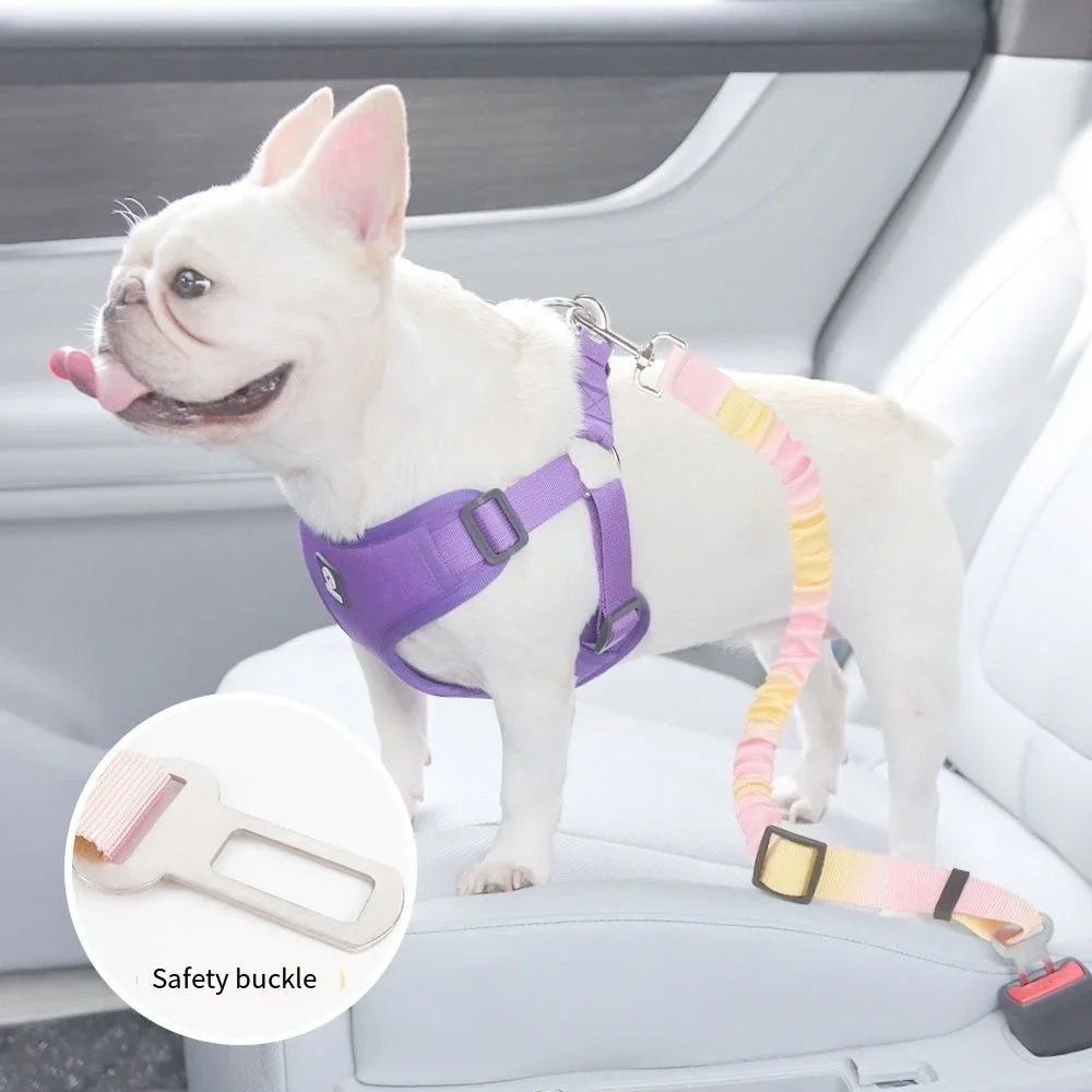 Secure Dog Car Travel Belt