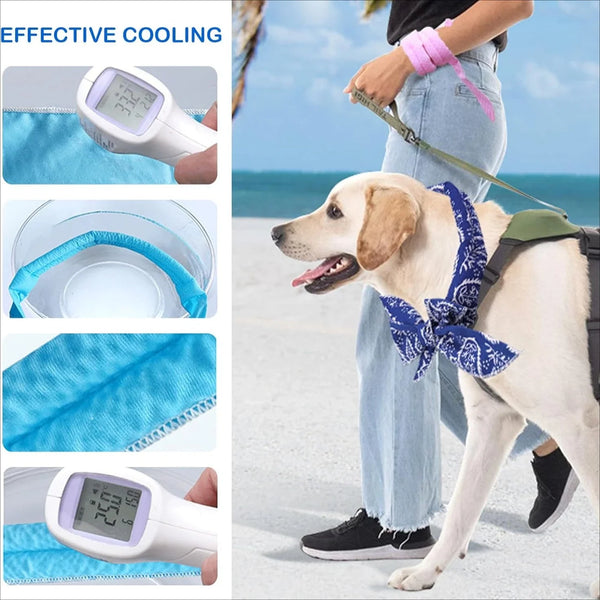 Summer Pet Cooling Scarf