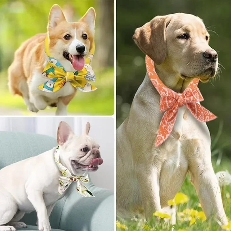 Summer Pet Cooling Scarf