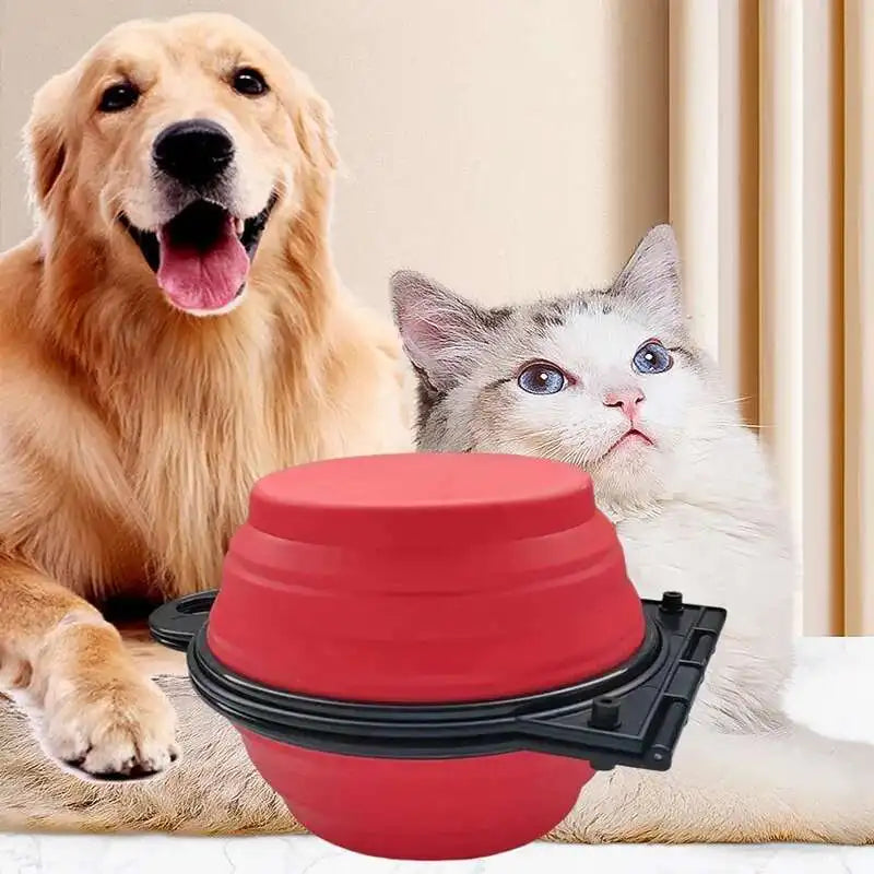 Portable Pet Dining Duo